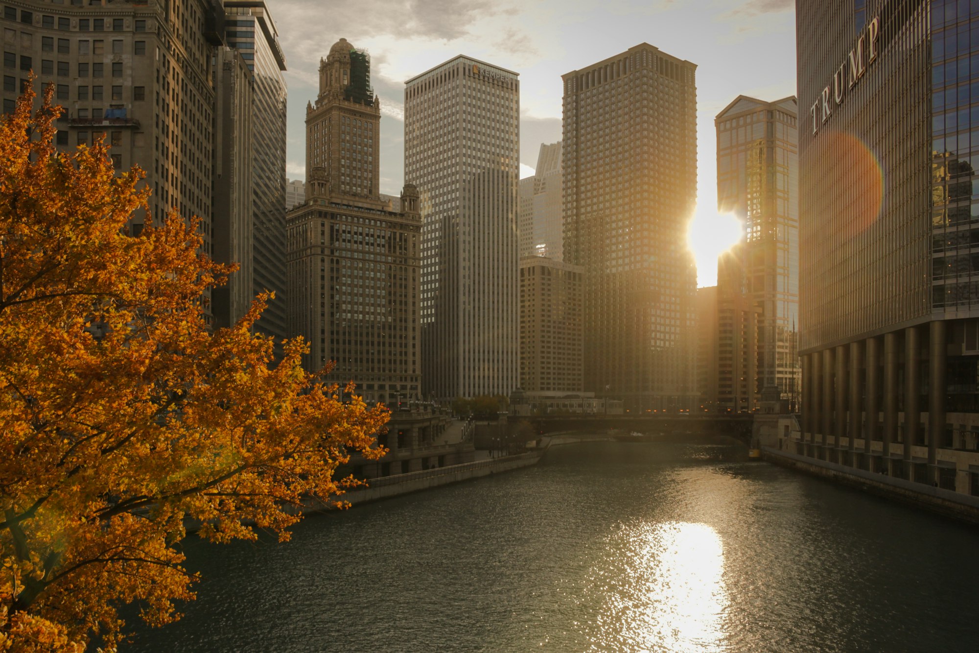 Fall in Chicago