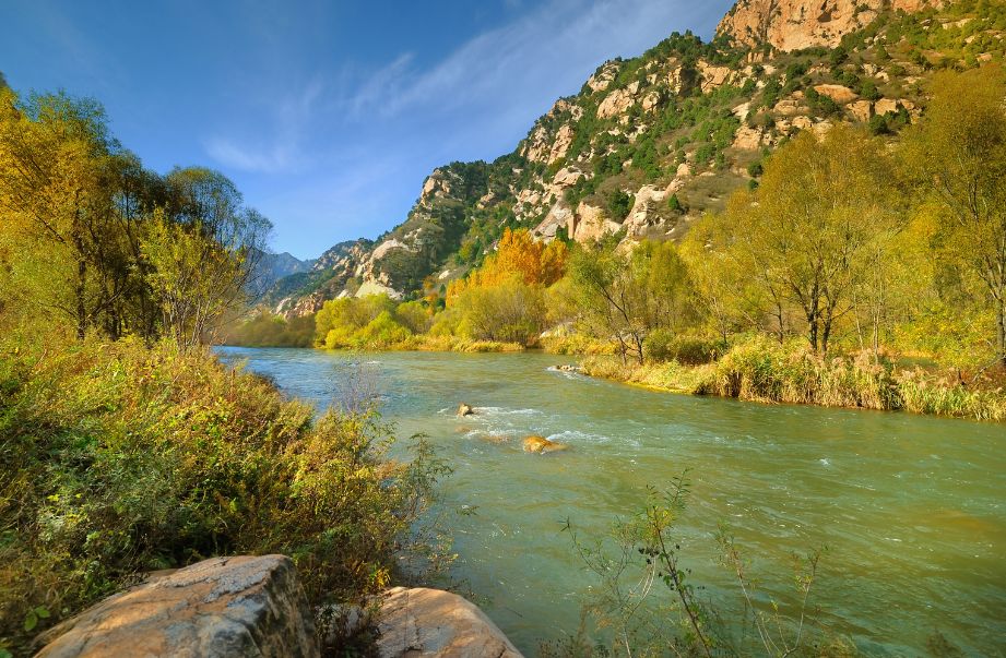 Grand Canyon Train Rides | Rail Vacations Tours & Insights