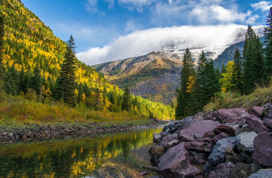 Glacier National Park Tour to yellowstone with Train Rides