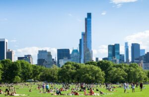 new york central park train tour package